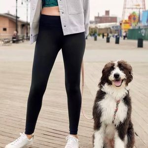 Aerie leggings